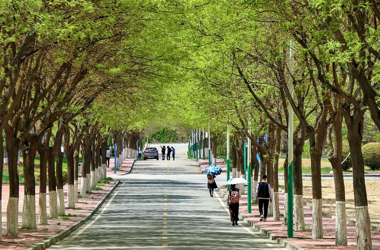重庆机电职业技术大学招生办电话是多少 重庆机电职业技术大学招生办电话是多少