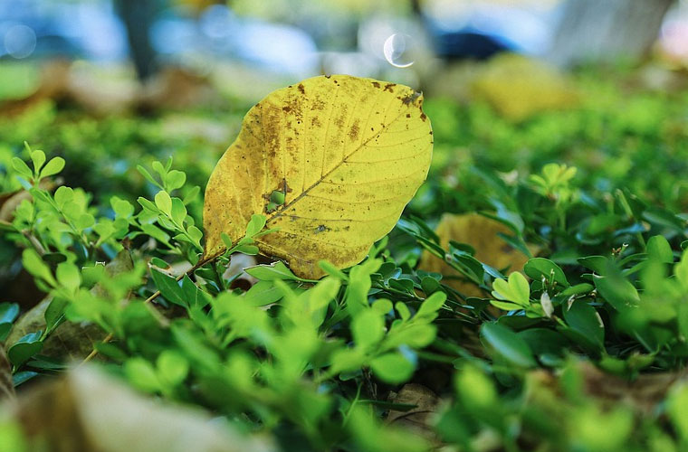 重庆三峡医药高等专科学校2022年分数线 重庆三峡医药高等专科学校2022年分数线